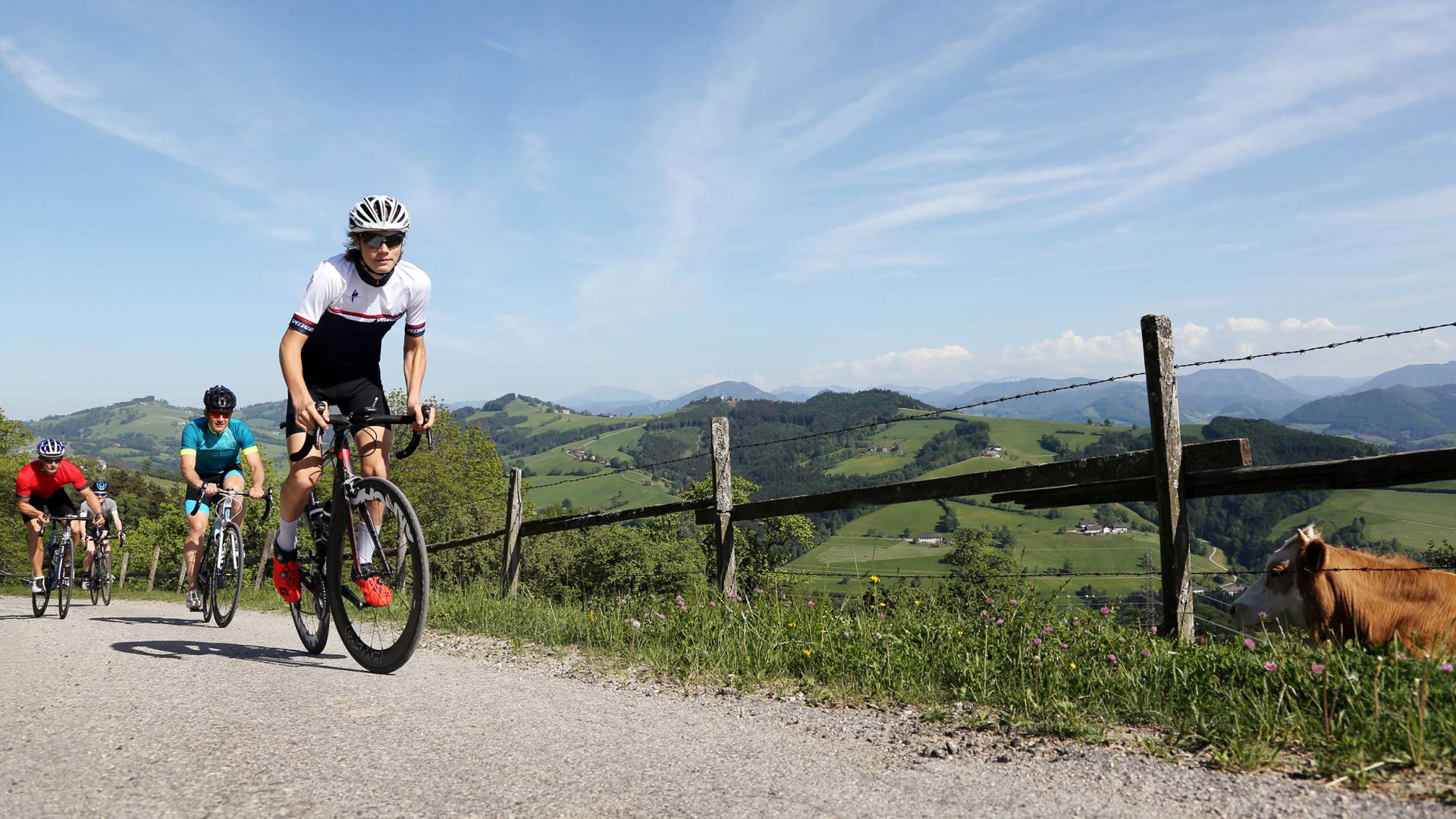 Rennradfahren in den Ybbstaler Alpen