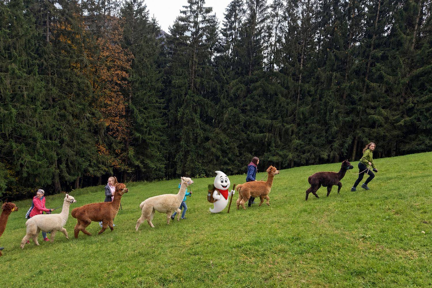 Tierische Abenteuer - Das Schloss an der Eisenstrasse