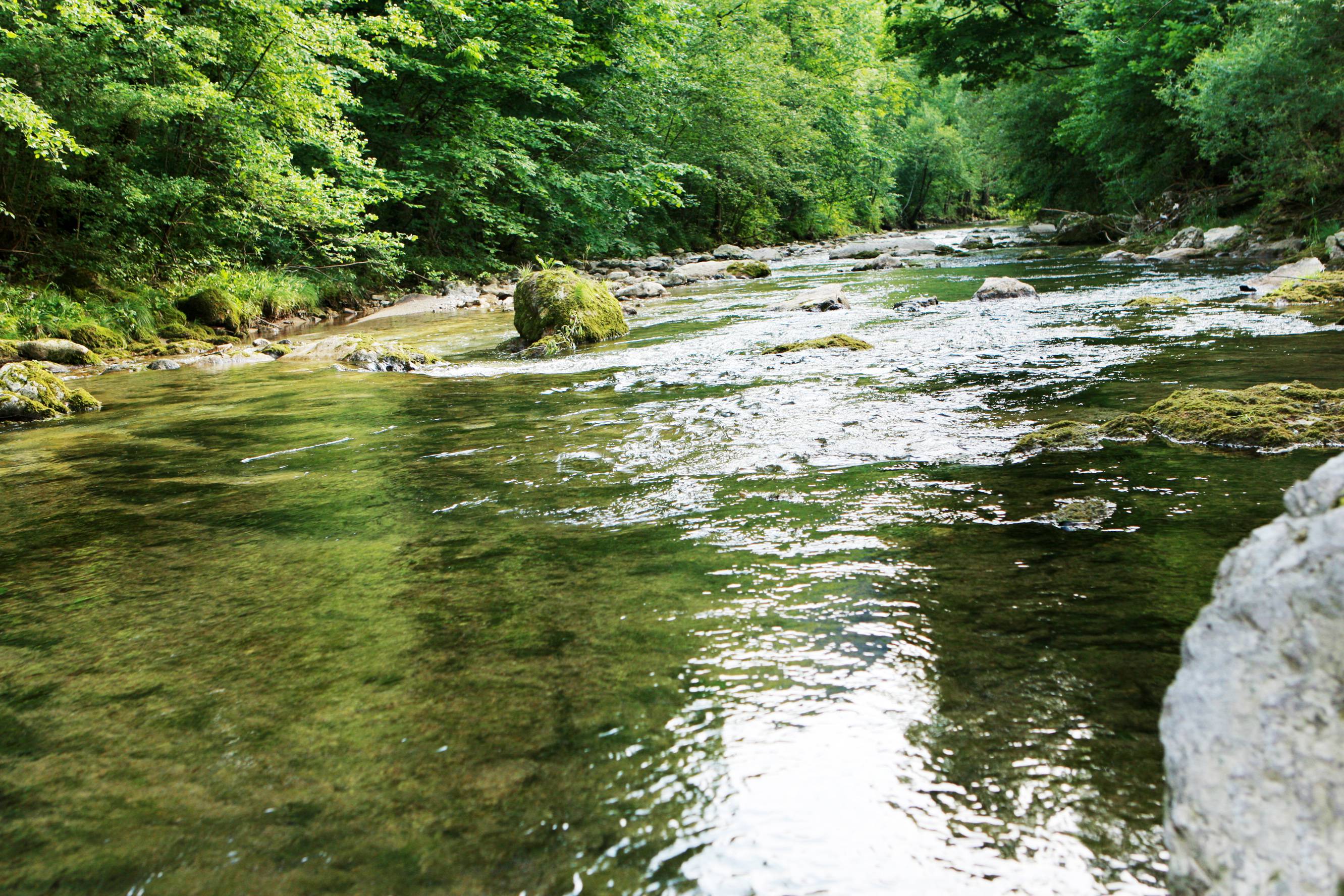 Fischer beim Fliegenfischen in der Ybbs im Mostviertel