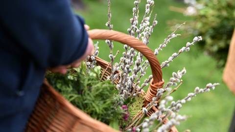Palmsonntag: Mostviertler Bauernregeln, Traditionen & Mythen