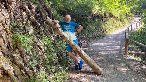 Auf dem Holzweg im Mendlingtal