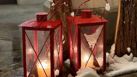 Vom Laternenfest bis zum Singles Day – warum der 11.11. mehr als nur Martinigansl ist