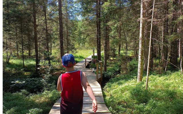 Die 11 schönsten Ausflugsziele mit Kindern in der Nähe von Waidhofen