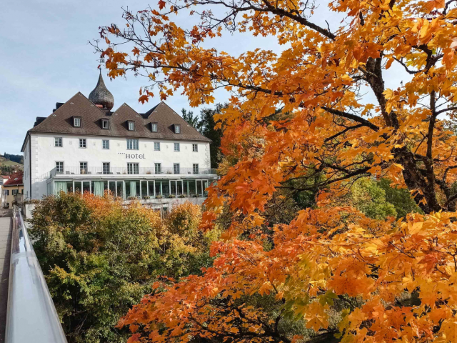 Schlosshotel Eisenstrasse in Waidhofen an der Ybbs Herbst