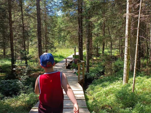 Wandern mit Kindern