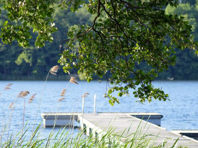 Lunzer See