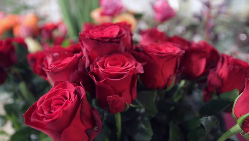 Extra-scharfe Pfefferoni zum Valentinstag können auch etwas bedeuten