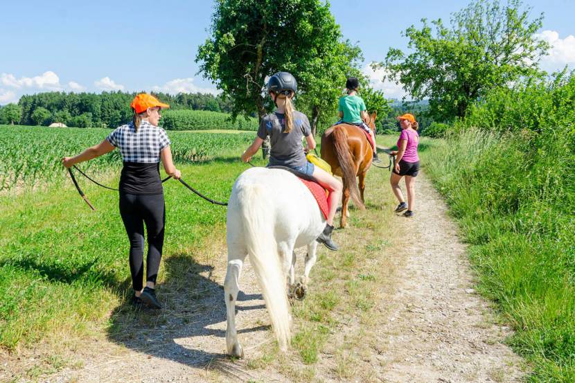 Die 11 schönsten Ausflugsziele mit Kindern in der Nähe von Waidhofen