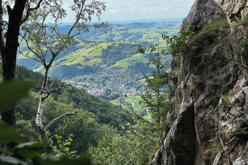 Wandern am Prochenberg