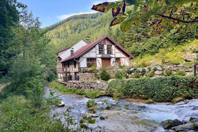 Wandern am Prochenberg