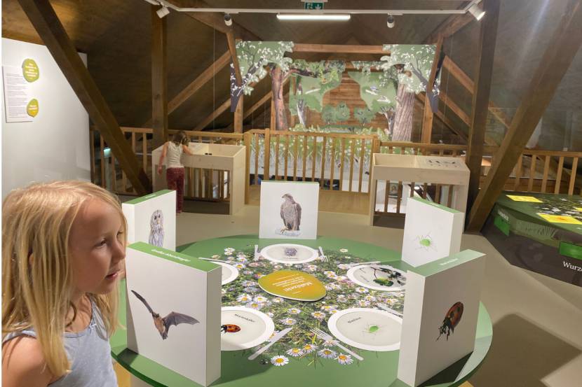 Museum Tierpark Haag