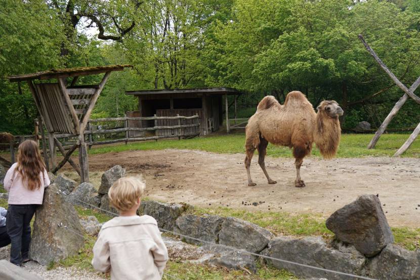 Tierpark Haag
