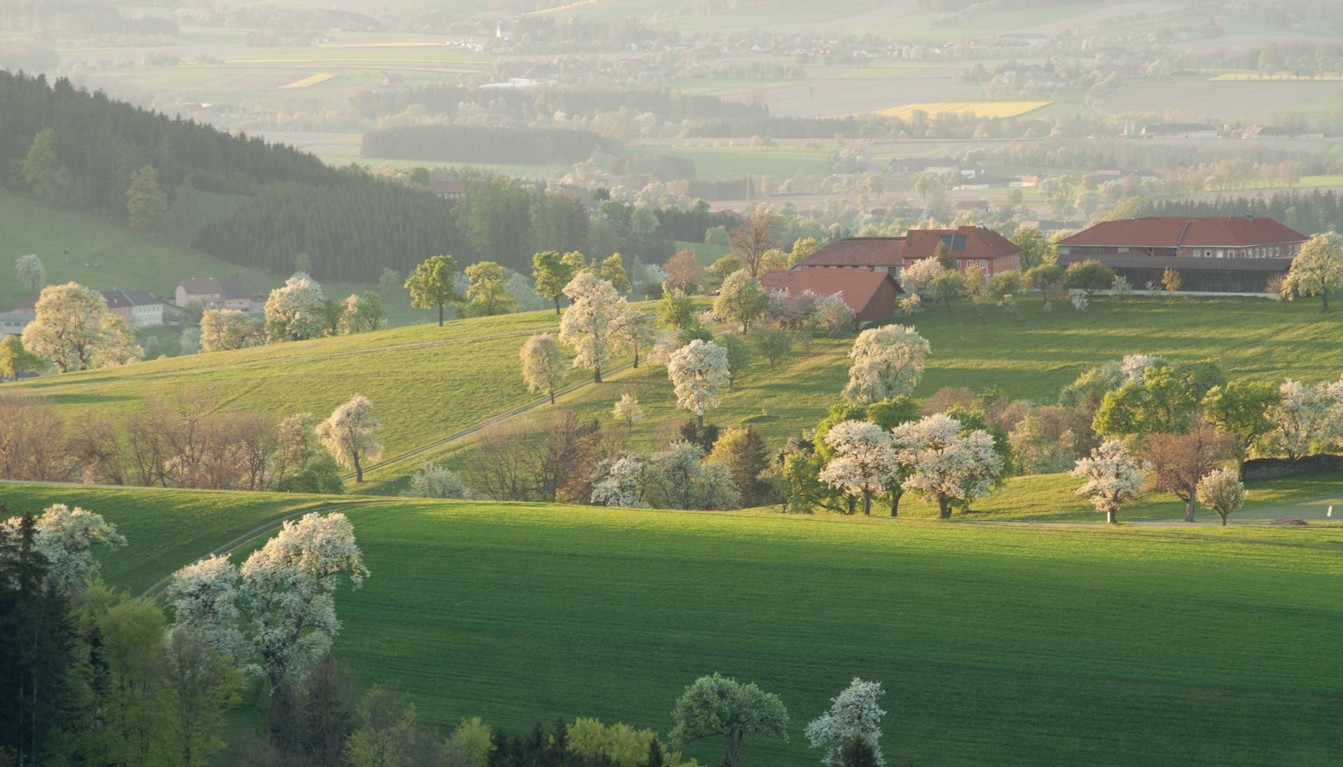 Urlaub in Niederösterreich