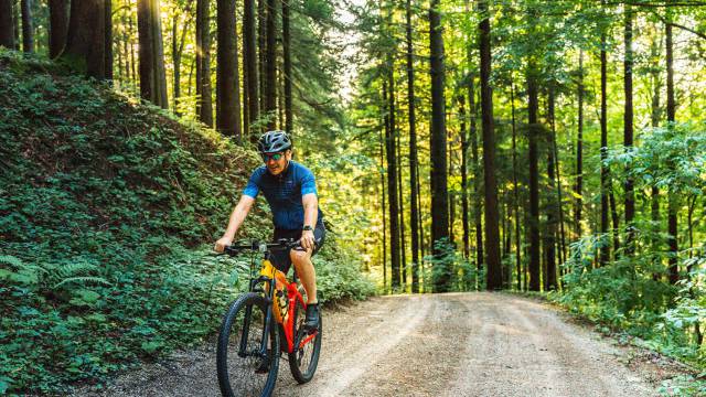 Mountainbiken in den Ybbstaler Alpen