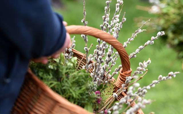 Palmsonntag: Mostviertler Bauernregeln, Traditionen & Mythen