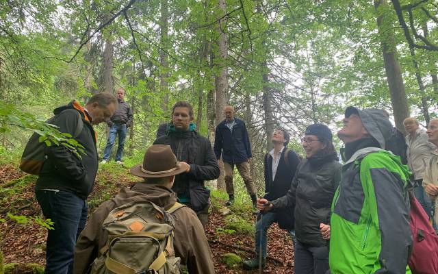 Wanderung im Wildnisgebiet Dürrenstein