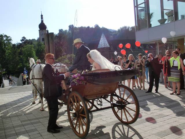Romantisches Gespann - Hochzeitskutsche - Das Schloss an der Eisenstrasse