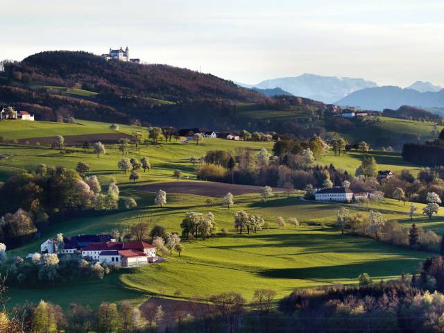 Die Basilika Sonntagberg mit traumhaften Ausblick aufs Mostviertel