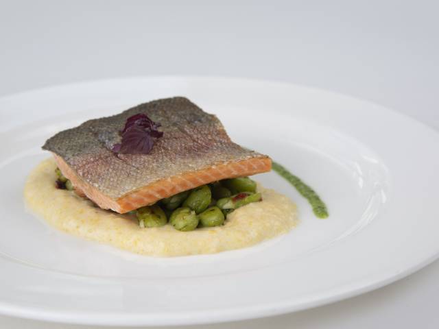 Lachs mit Gemüse und Pürree