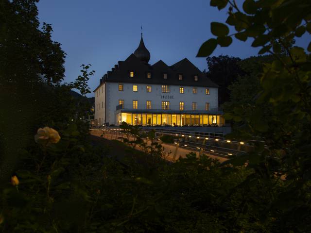 Das Schloss an der Eisenstrasse by night with roses