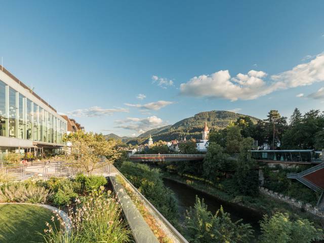 Schlossgarten Waidhofen