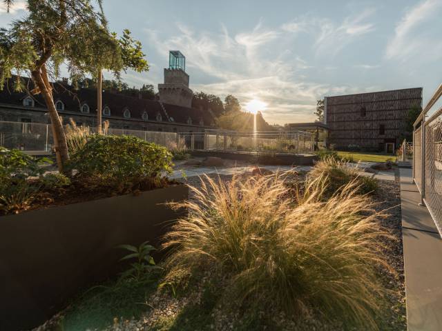 Schlossgarten Sonne