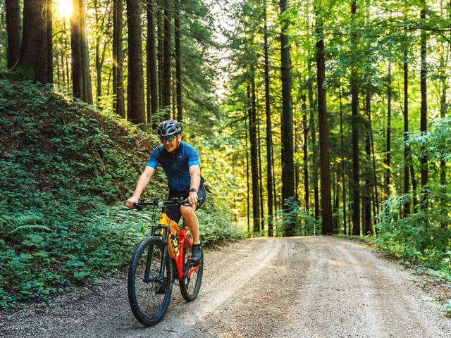 Mountainbiken Mostviertel