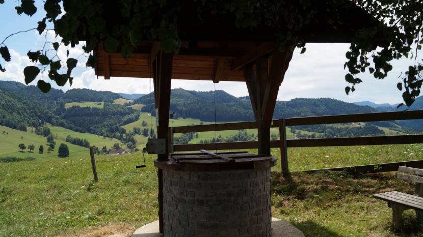 Mostbrunnen im Mostviertel