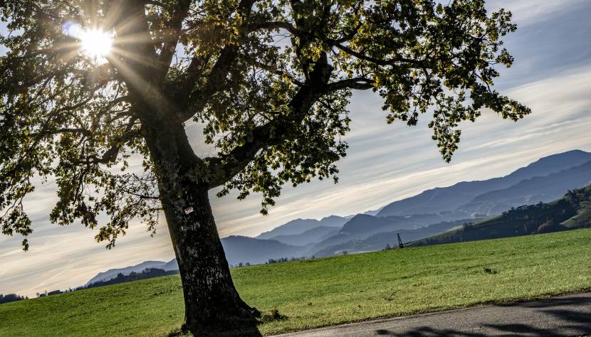 Hochkogelberg Panoramahöhenweg