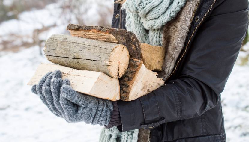 Holz- und Kohlevorrat