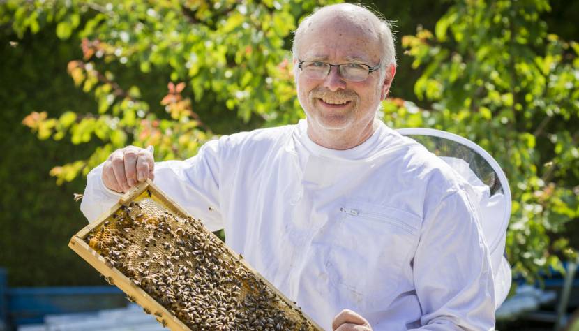 Honig, Bienen und ein Herz für Lebkuchen!