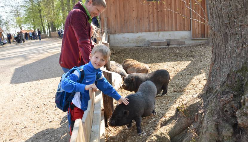 Tierpark Familie