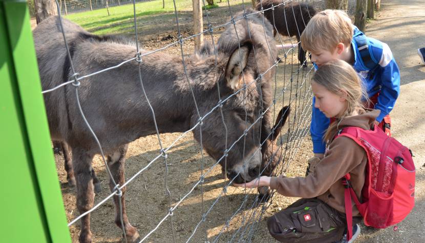 Tierpark Familie