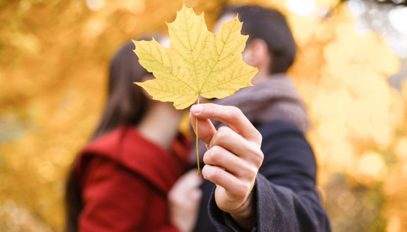 Herbst in Waidhofen