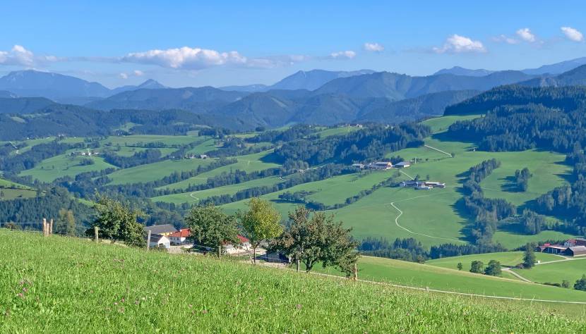 Bellevue-Strecke auf Abwegen