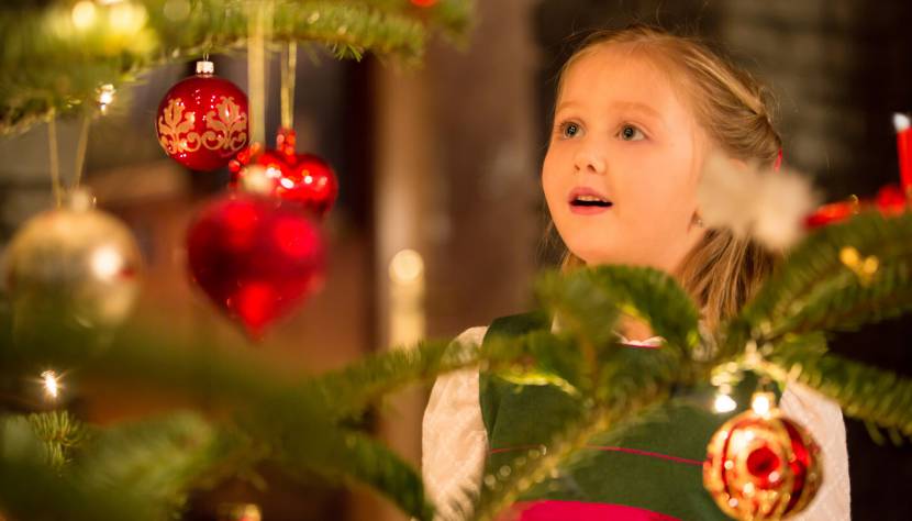 Die schönsten Weihnachtsgeschichten unterm Christbaum