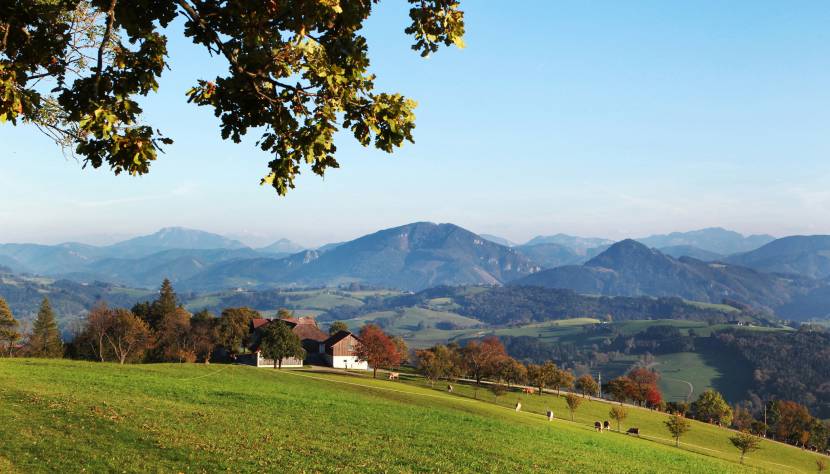 Ötscherblick Mostviertel