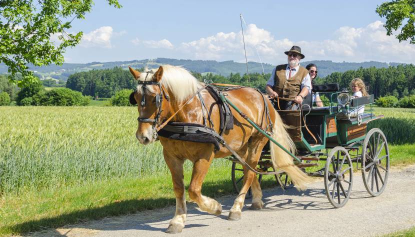 Reiten im Urlaub