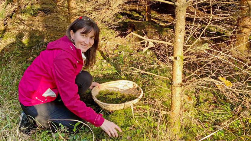 Deko im Wald suchen