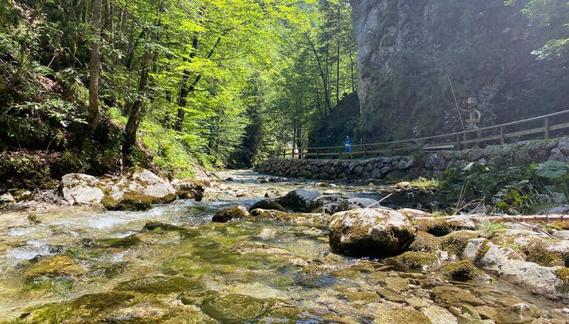 Abkühlung im Mendlingtal