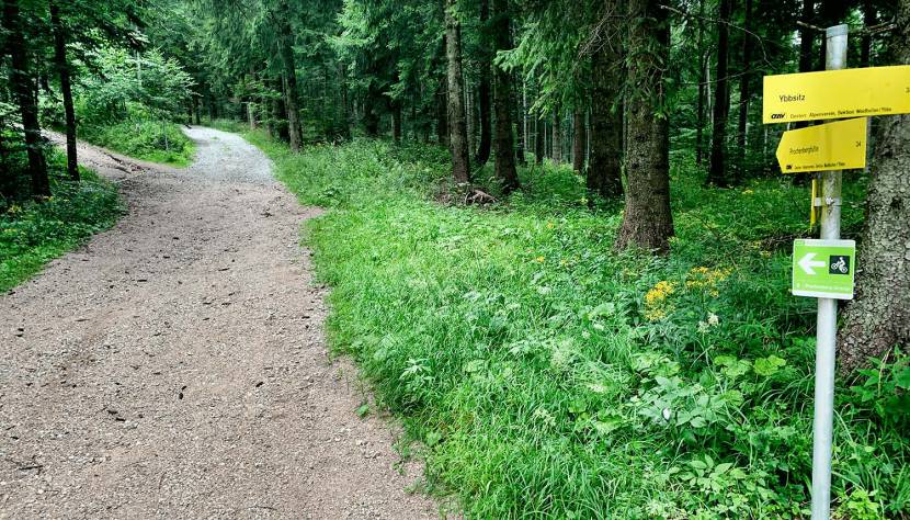 Prochenberg MTB-/Wanderweg