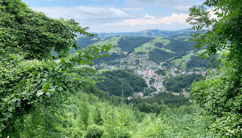 Eine sensationelle Aussicht auf Ybbsitz