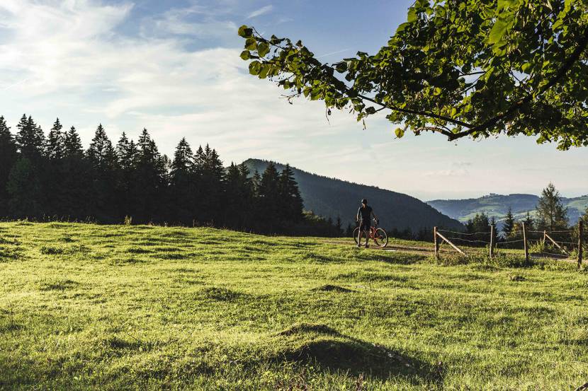 Der atemberaubende Ausblick auf den Sonntagberg