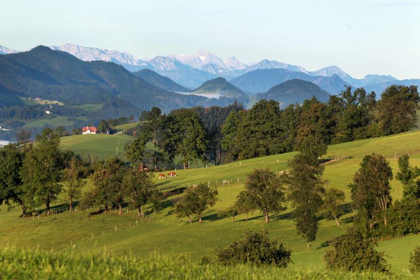 Panoramahöhenweg im Mostviertel