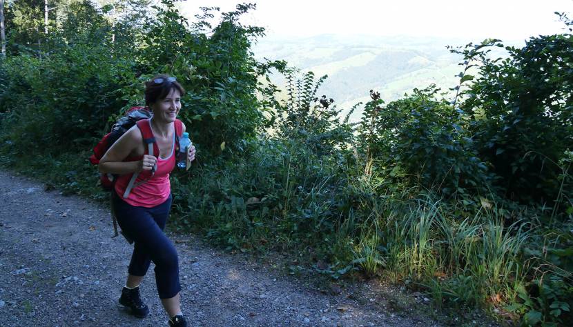 Nur keine Hektik - Wandern am Prochenberg