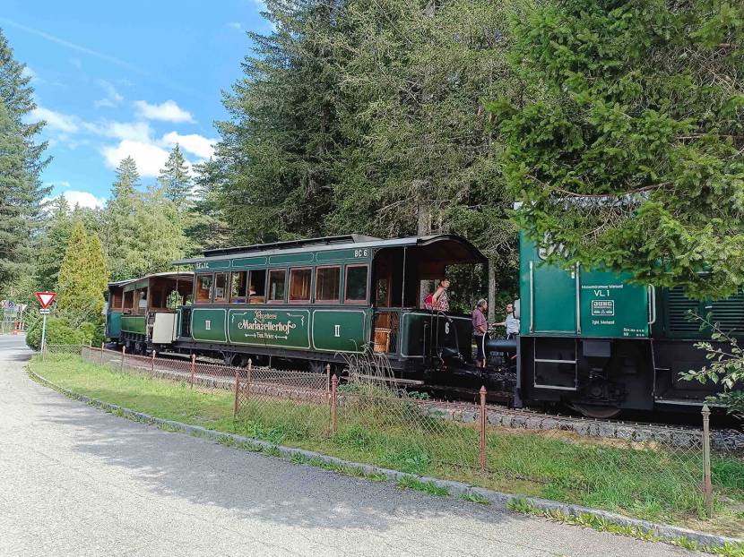 Der Erlaufsee: Ein Familienausflug voller Natur und Nostalgie 