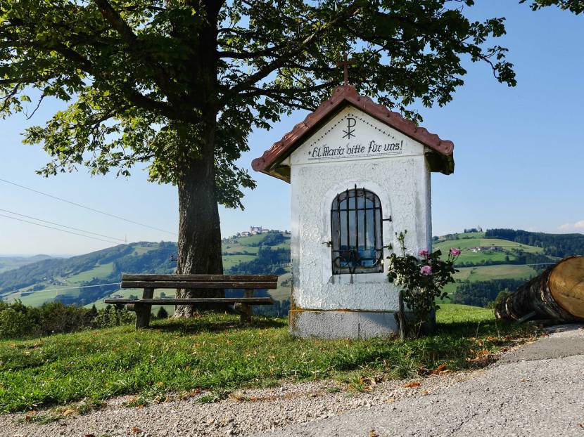 Auf zum Schobersberg: Mountainbiken mit spektakulärem Ausblick