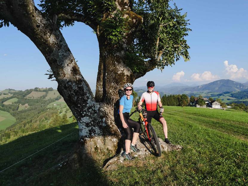Auf zum Schobersberg: Mountainbiken mit spektakulärem Ausblick