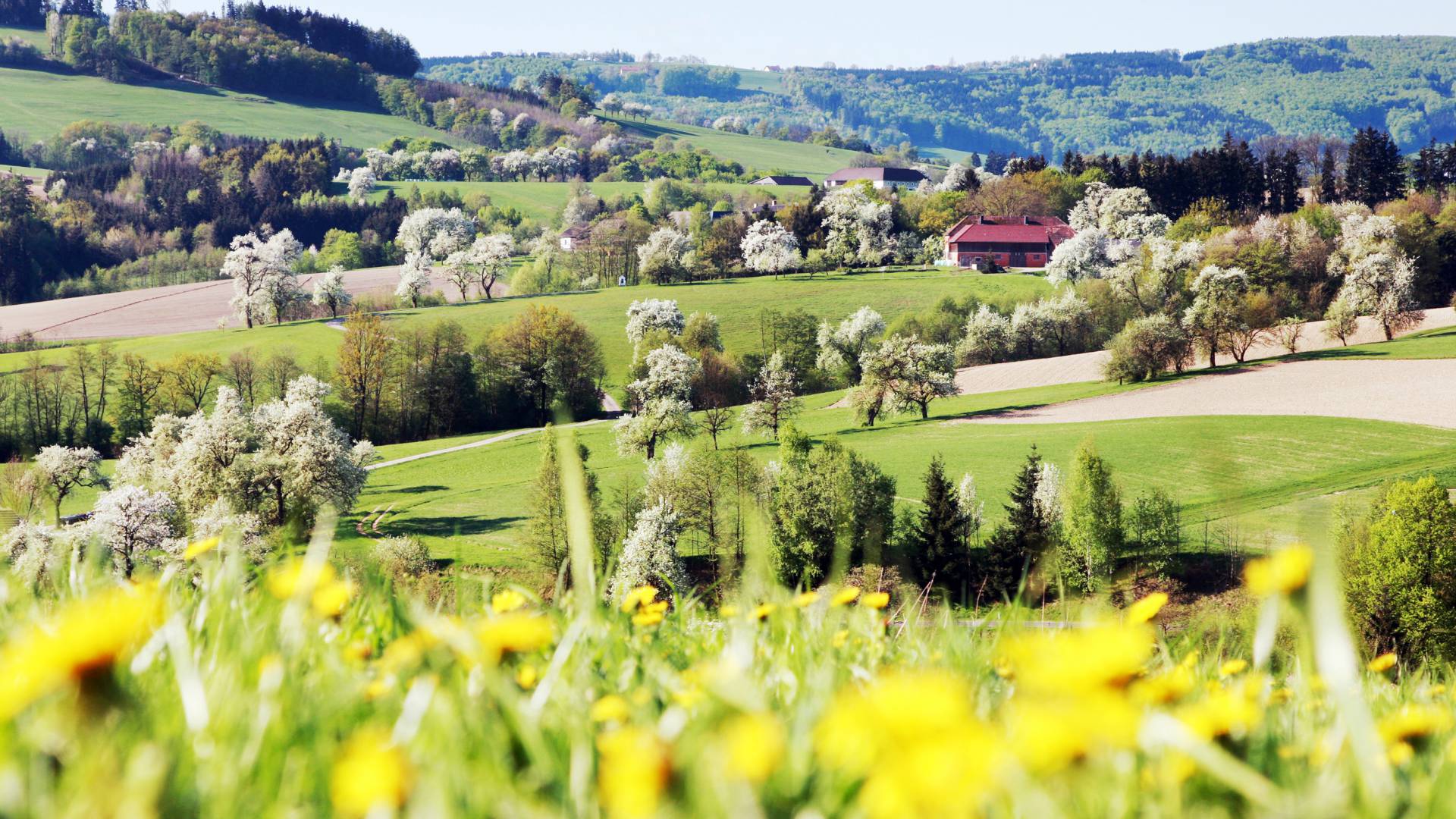 Ausblick aufs Mostviertel