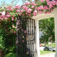 Gartentage im historischen Hofgarten, Bild 3/5